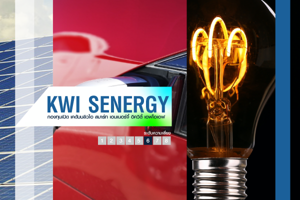 KWI 智慧能源股票外国投资基金 (KWI SENERGY)